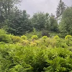 Mieszkanie Serce Natury W Polanicy Zdroj Appartamento *