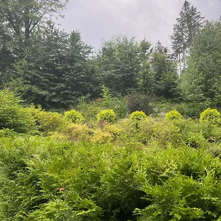 Mieszkanie Serce Natury W Polanicy Zdroj Apartmán *