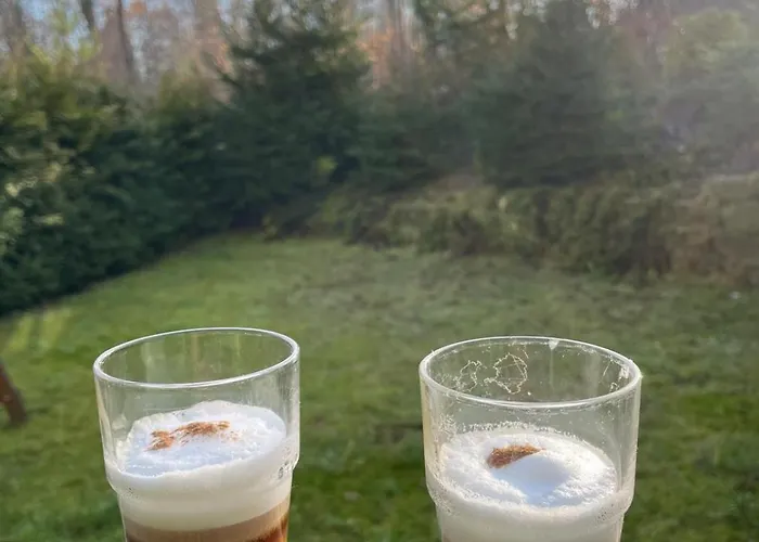 Daire Mieszkanie Serce Natury W Polanicy Zdroj *