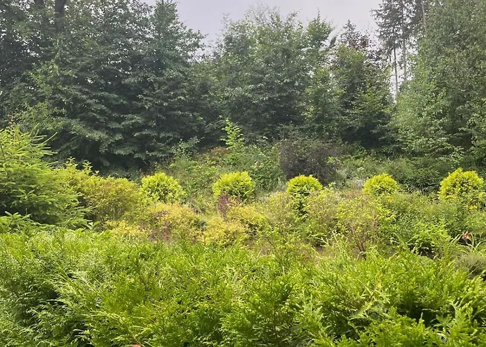 Mieszkanie Serce Natury W Polanicy Zdroj Daire *