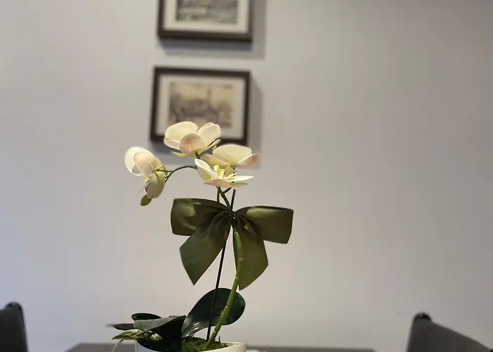 Daire Mieszkanie Serce Natury W Polanicy Zdroj Polanica-Zdroj